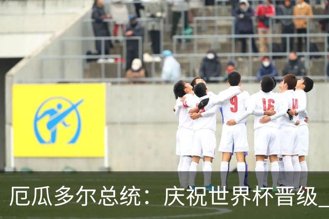 厄瓜多尔总统：庆祝世界杯晋级 全国放假一天